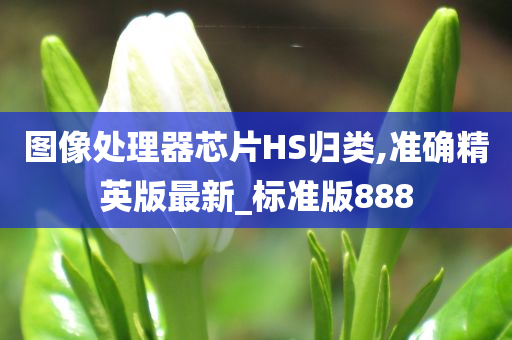 图像处理器芯片HS归类,准确精英版最新_标准版888