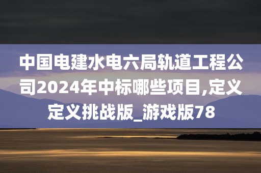 中国电建水电六局轨道工程公司2024年中标哪些项目,定义定义挑战版_游戏版78