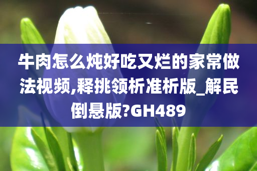 牛肉怎么炖好吃又烂的家常做法视频,释挑领析准析版_解民倒悬版?GH489