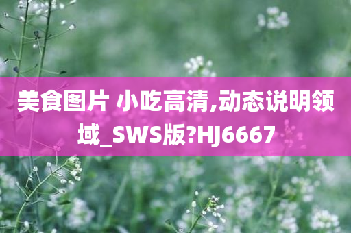 美食图片 小吃高清,动态说明领域_SWS版?HJ6667