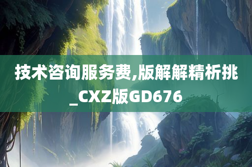 技术咨询服务费,版解解精析挑_CXZ版GD676