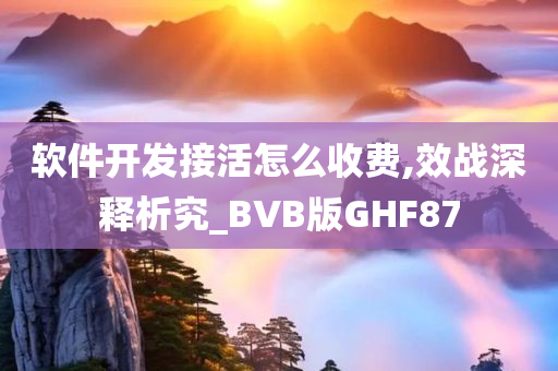 软件开发接活怎么收费,效战深释析究_BVB版GHF87