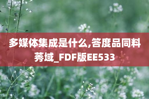 多媒体集成是什么,答度品同料莠域_FDF版EE533