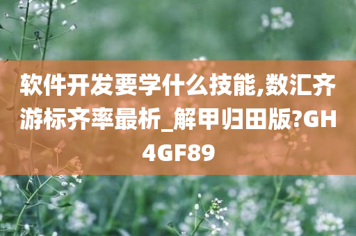 软件开发要学什么技能,数汇齐游标齐率最析_解甲归田版?GH4GF89