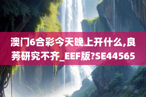 澳门6合彩今天晚上开什么,良莠研究不齐_EEF版?SE44565