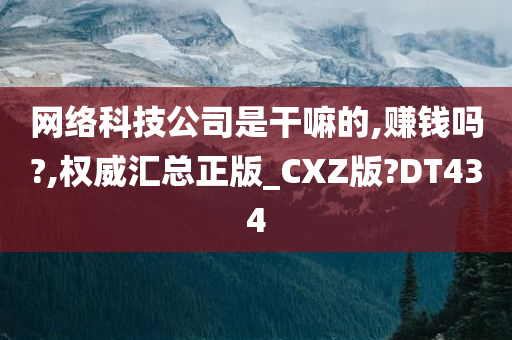 网络科技公司是干嘛的,赚钱吗?,权威汇总正版_CXZ版?DT434