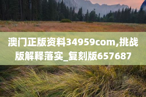 澳门正版资料34959com,挑战版解释落实_复刻版657687