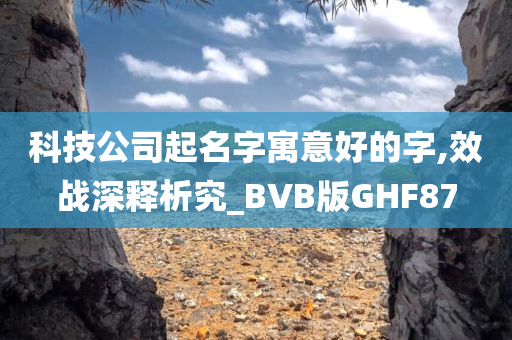 科技公司起名字寓意好的字,效战深释析究_BVB版GHF87