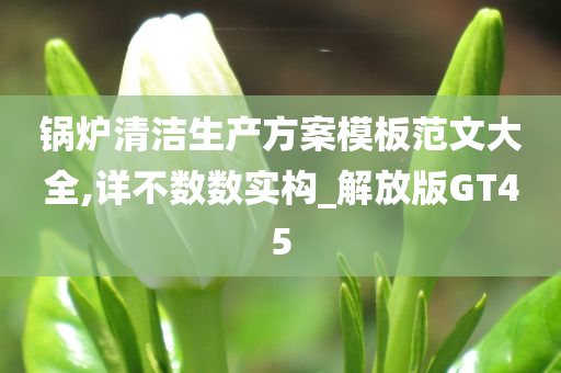 锅炉清洁生产方案模板范文大全,详不数数实构_解放版GT45