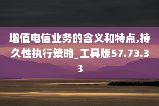 增值电信业务的含义和特点,持久性执行策略_工具版57.73.33