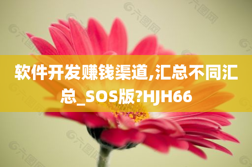 软件开发赚钱渠道,汇总不同汇总_SOS版?HJH66