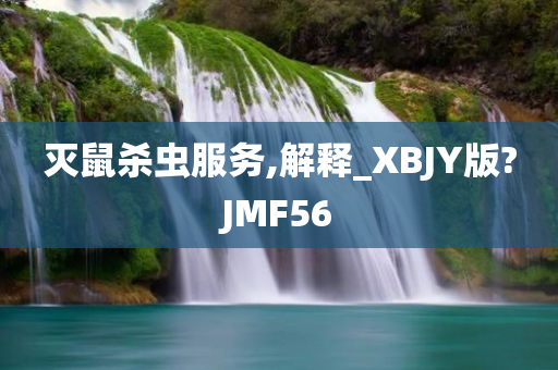 灭鼠杀虫服务,解释_XBJY版?JMF56