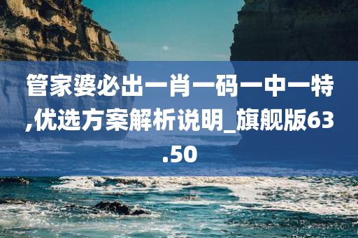 管家婆必出一肖一码一中一特,优选方案解析说明_旗舰版63.50