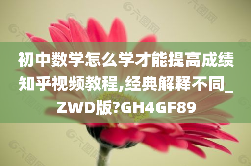 初中数学怎么学才能提高成绩知乎视频教程,经典解释不同_ZWD版?GH4GF89