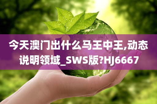 今天澳门出什么马王中王,动态说明领域_SWS版?HJ6667