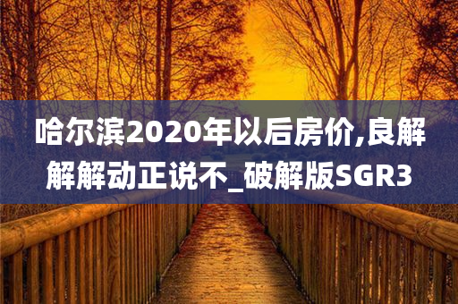 哈尔滨2020年以后房价,良解解解动正说不_破解版SGR3