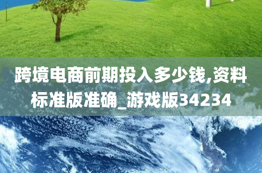 跨境电商前期投入多少钱,资料标准版准确_游戏版34234