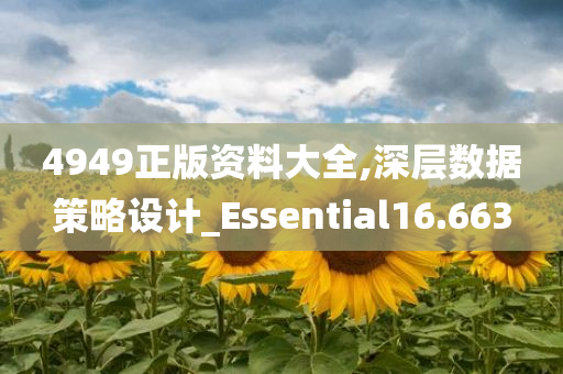 4949正版资料大全,深层数据策略设计_Essential16.663