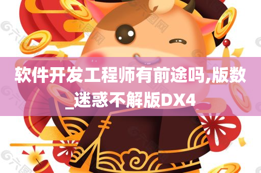 软件开发工程师有前途吗,版数_迷惑不解版DX4