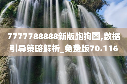 7777788888新版跑狗图,数据引导策略解析_免费版70.116