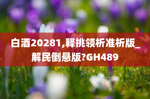 白酒20281,释挑领析准析版_解民倒悬版?GH489