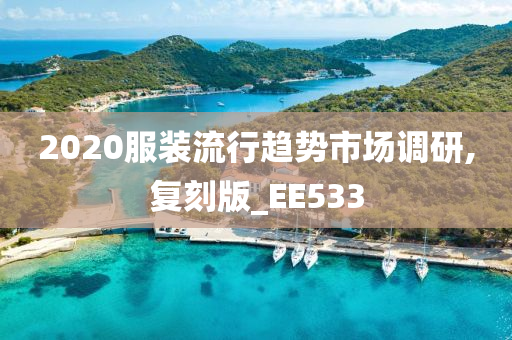 2020服装流行趋势市场调研,复刻版_EE533