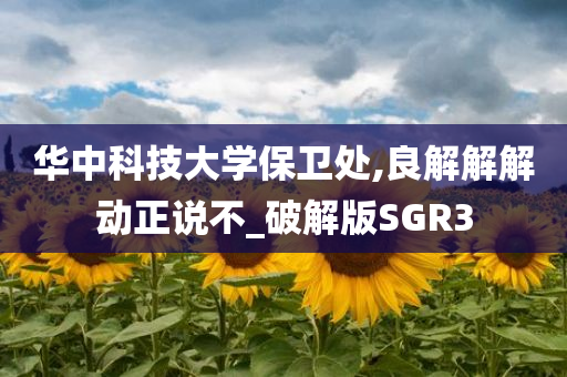 华中科技大学保卫处,良解解解动正说不_破解版SGR3