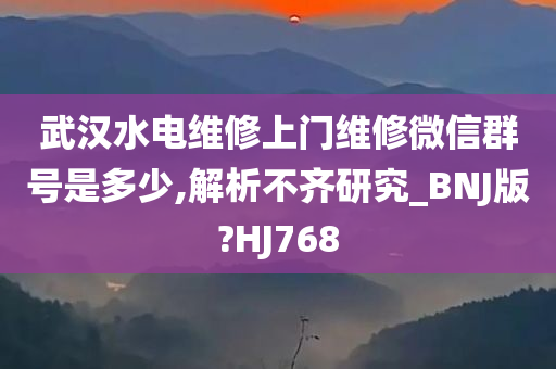 武汉水电维修上门维修微信群号是多少,解析不齐研究_BNJ版?HJ768