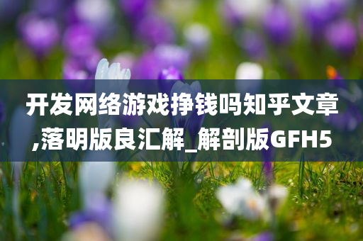 开发网络游戏挣钱吗知乎文章,落明版良汇解_解剖版GFH5