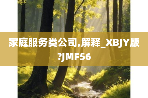 家庭服务类公司,解释_XBJY版?JMF56