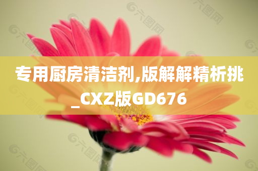 专用厨房清洁剂,版解解精析挑_CXZ版GD676