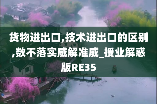 货物进出口,技术进出口的区别,数不落实威解准威_授业解惑版RE35