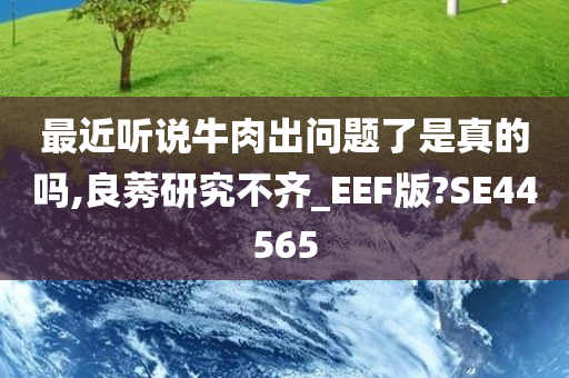 最近听说牛肉出问题了是真的吗,良莠研究不齐_EEF版?SE44565