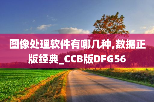 图像处理软件有哪几种,数据正版经典_CCB版DFG56