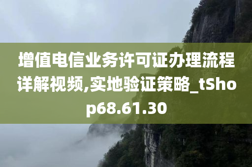 增值电信业务许可证办理流程详解视频,实地验证策略_tShop68.61.30