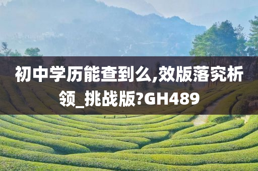 初中学历能查到么,效版落究析领_挑战版?GH489