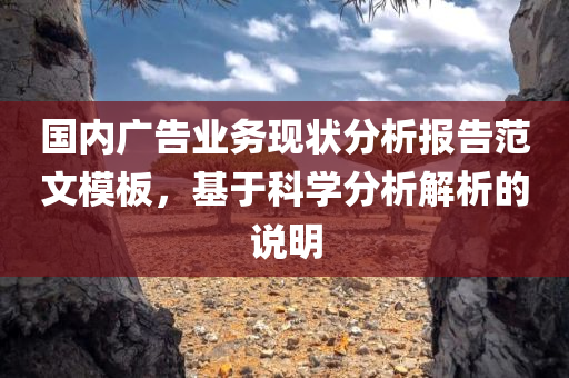 国内广告业务现状分析报告范文模板，基于科学分析解析的说明