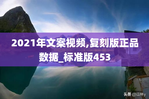 2021年文案视频,复刻版正品数据_标准版453