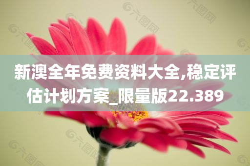 新澳全年免费资料大全,稳定评估计划方案_限量版22.389