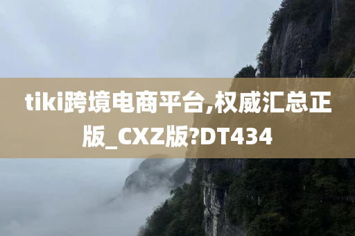 tiki跨境电商平台,权威汇总正版_CXZ版?DT434