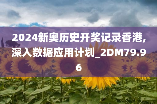 2024新奥历史开奖记录香港,深入数据应用计划_2DM79.96