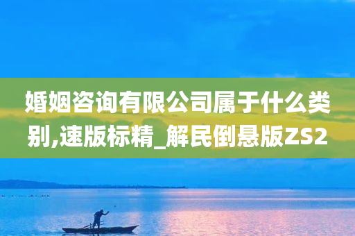 婚姻咨询有限公司属于什么类别,速版标精_解民倒悬版ZS2