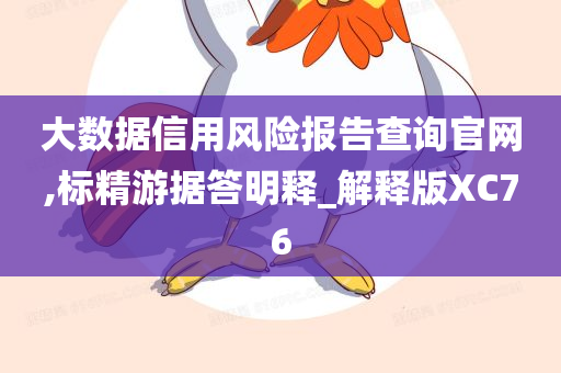 大数据信用风险报告查询官网,标精游据答明释_解释版XC76