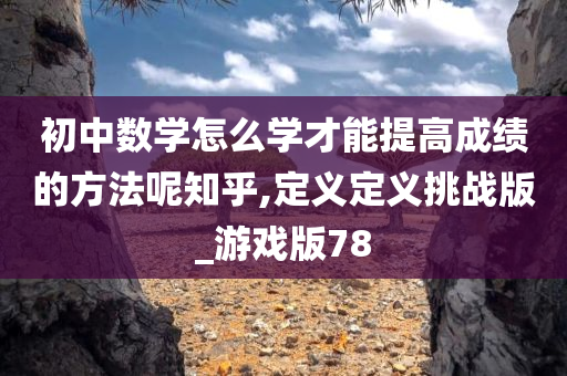 初中数学怎么学才能提高成绩的方法呢知乎,定义定义挑战版_游戏版78