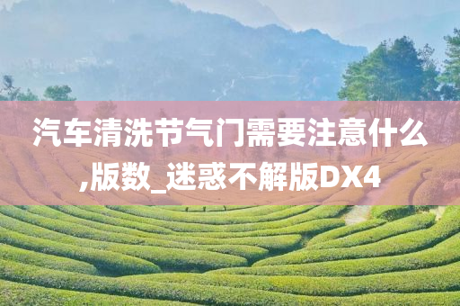 汽车清洗节气门需要注意什么,版数_迷惑不解版DX4