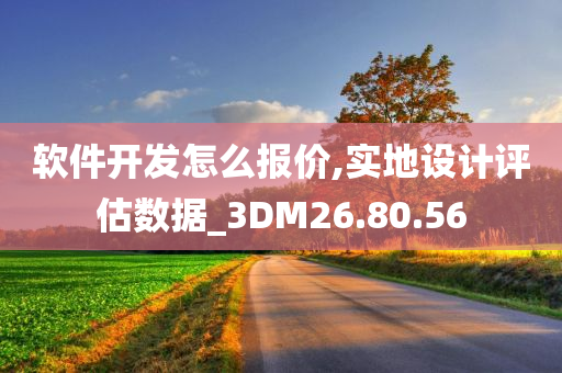 软件开发怎么报价,实地设计评估数据_3DM26.80.56