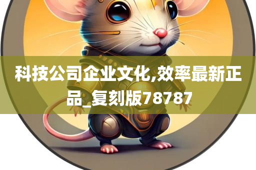 科技公司企业文化,效率最新正品_复刻版78787