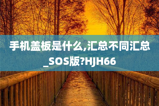 手机盖板是什么,汇总不同汇总_SOS版?HJH66