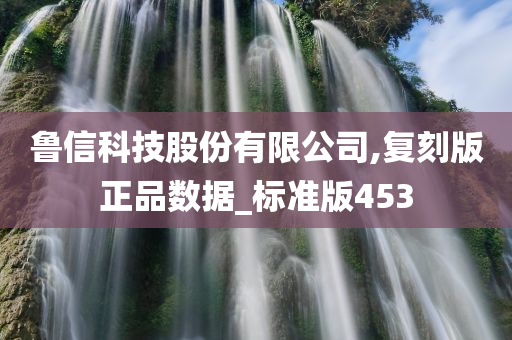 鲁信科技股份有限公司,复刻版正品数据_标准版453