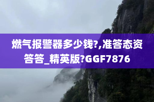 燃气报警器多少钱?,准答态资答答_精英版?GGF7876